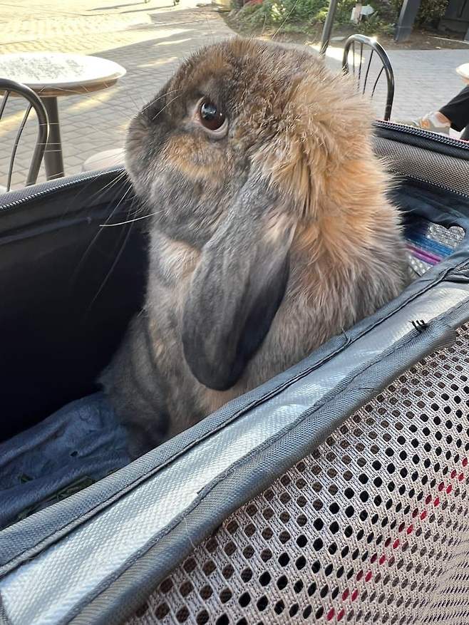 79ec8077b6f61b8223ebf2ec339c706858f87a8ca6a53a05c3b26362aa8612604153285fdd3b7e5ce94574e3e8c0270e94f8d26c