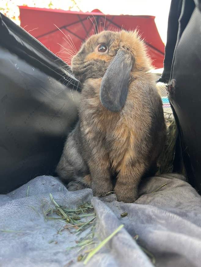 7d9b8174c3801a8223ed83ec379c701cca410976fe25157b115eef9c708fa50480c5630cb0a5c29c0b19128419502308d4b556f9