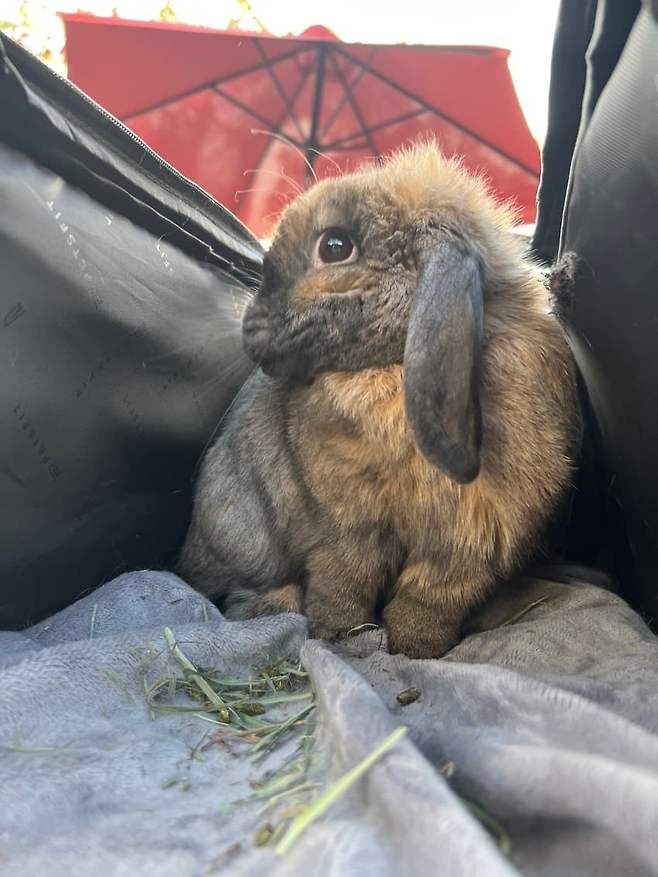 78e58171b28169802399f597309c706c2eb45579c89f40617138fc4b9da995dbdf52c858929ca057084e20922d4b8eb0eb9b4694