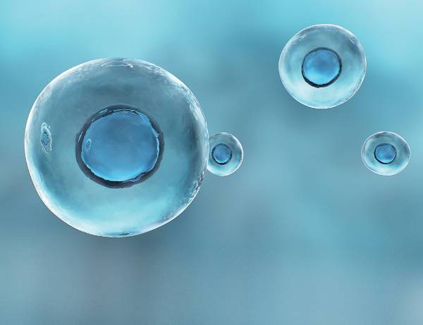 게티이미지뱅크