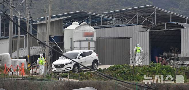 [무안=뉴시스] 변재훈 기자 = 16일 오전 전남 무안군 일로읍 소재 구제역 발생 소 사육농장에서 방역 당국이 출입 통제선을 설치, 소독을 준비하고 있다. 2025.03.16. wisdom21@newsis.com