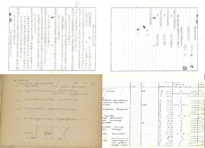 '태안 천리포수목원 조성 관련 기록물' 위는 토지 매입 증서(1962년), 아래는 왼쪽부터 식물 번식 일지 1권(1975년), 식물 관리 일지(1973년) [국가유산청 제공. 재판매 및 DB 금지]