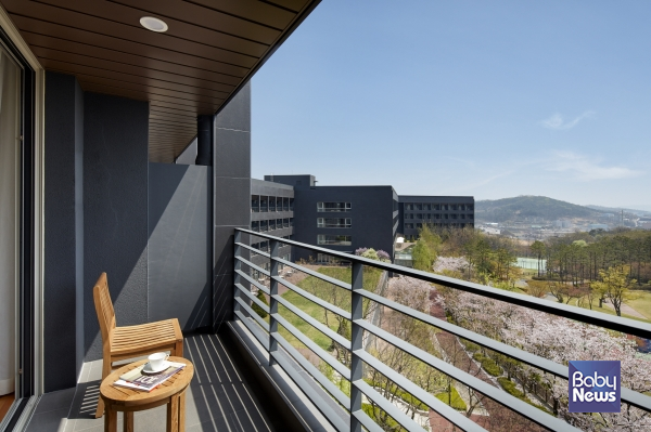 롤링힐스 호텔 객실 테라스 벚꽃 전경. ⓒ해비치 호텔앤드리조트