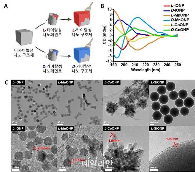 연구모식도. ⓒ한국과학기술원