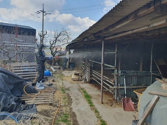 지역 한 농가를 방문해 소독을 실시하고 있다. [사진=경주시청]