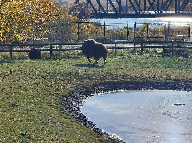 동물원 모습.[헤럴드DB]