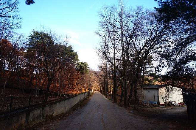 둘레길의 모습. 오른쪽으로는 4월이 되면 벚꽃이 핀다고 한다. 이준희 기자