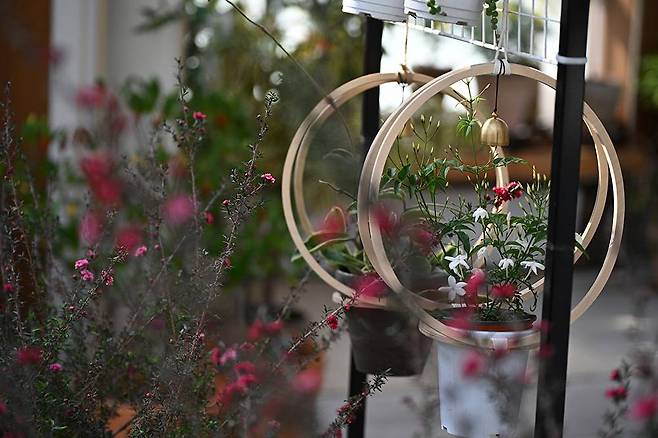 니코르 Z 24-120mm f/4 S로 f/4, 1/160초, ISO 100 설정 촬영 / 출처=IT동아