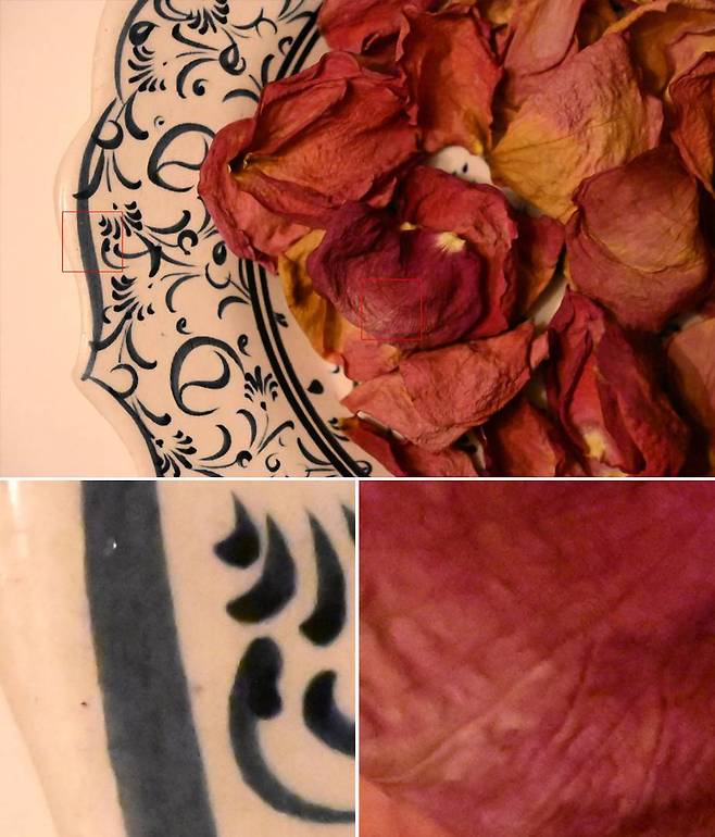 니코르 Z 24-120mm f/4 S로 f/8, 1/100초, ISO 51200 설정 촬영 / 출처=IT동아