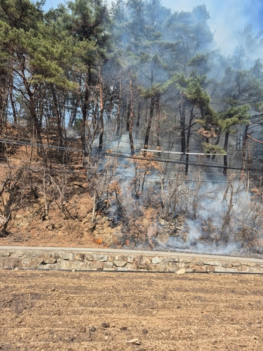 ▲ 21일 오후 2시 32분쯤 강원 평창군 용평면 백옥포리에서 산불이 발생해 약 1시간 만에 진화됐다. 산림청 제공