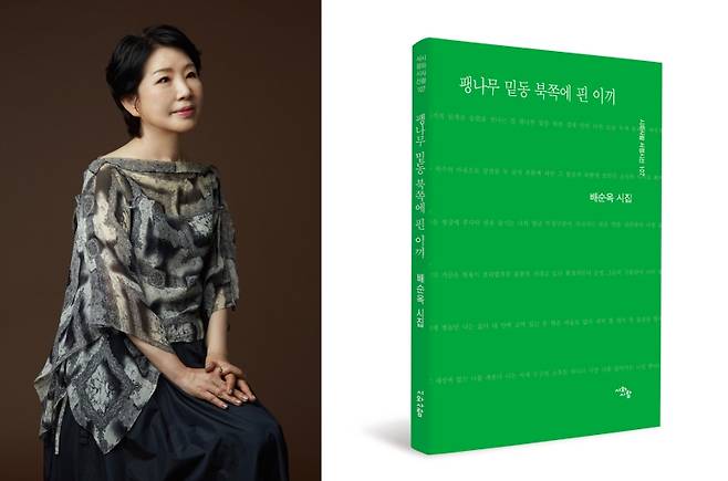 ▲ 배순옥 시인과 시집 『팽나무 밑동 북쪽에 핀 이끼』