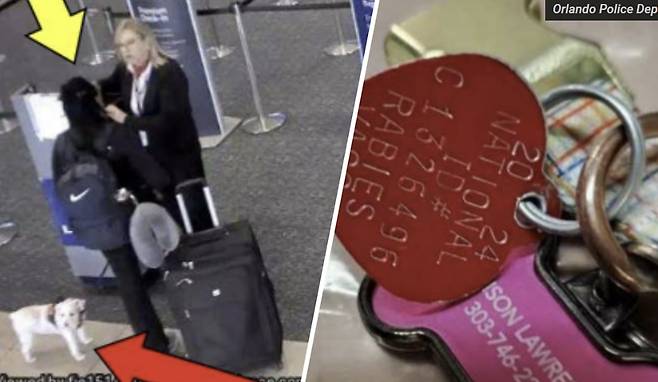 공항 직원이 쓰레기통에서 개 사체와 함께 발견한 인식표에 로렌스 이름과 전화번호가 적혀 있다. /사진=NBC 홈페이지 갈무리