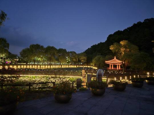 경북 고령군 대가야역사테마관광지 우륵지 야경. 고령군청 제공