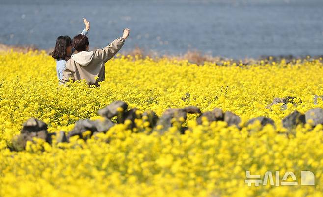 [서귀포=뉴시스] 우장호 기자 = 완연한 봄날씨를 보인 21일 오전 제주 서귀포시 성산읍 성산일출봉 광치기해변 인근에 조성된 유채꽃밭에 상춘객이 찾아와 즐거운 시간을 보내고 있다.기상청에 따르면 꽃샘추위가 물러간 제주 지역은 당분간 낮 기온이 21도 내외로 오르며 포근한 날씨를 나타낼 것으로 전망된다. 2025.03.21. woo1223@newsis.com