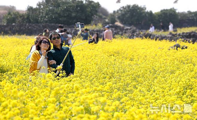 [서귀포=뉴시스] 우장호 기자 = 완연한 봄날씨를 보인 21일 오전 제주 서귀포시 성산읍 성산일출봉 광치기해변 인근에 조성된 유채꽃밭에 상춘객이 찾아와 즐거운 시간을 보내고 있다.기상청에 따르면 꽃샘추위가 물러간 제주 지역은 당분간 낮 기온이 21도 내외로 오르며 포근한 날씨를 나타낼 것으로 전망된다. 2025.03.21. woo1223@newsis.com