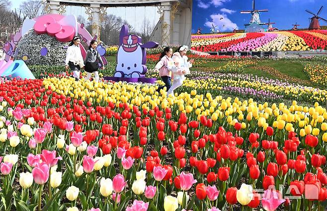 [용인=뉴시스] 김종택 기자 = 에버랜드 튤립축제가 시작된 21일 경기도 용인시 에버랜드 포시즌스 가든을 찾은 어린이들이 활짝 핀 튤립 꽃길을 거닐며 봄기운을 만끽하고 있다. 2025.03.21. jtk@newsis.com