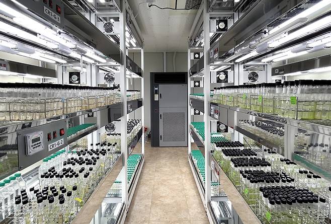 해양식물 플랑크톤자원 배양실 [부경대 제공]