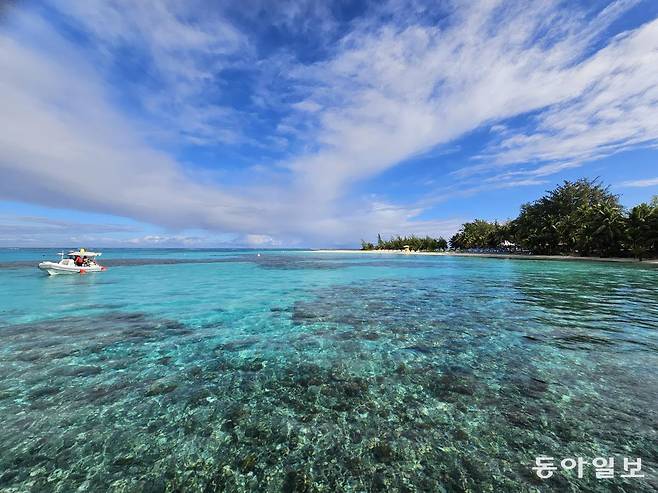 전승훈 기자 raphy@donga.com