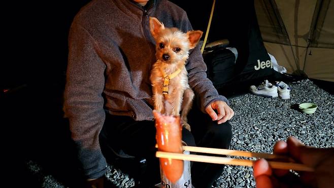 20250321_230006.jpg 캠핑 1일차) 저녁 소시지 구이에 한잔