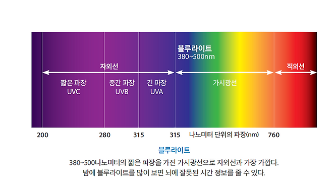 블루라이트의 두 얼굴: 낮에는 친구, 밤에는 수면의