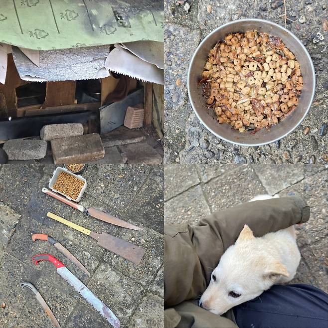 타이탄이 살고 있던 개집의 입구는 성인 손 한 뼘정도다. 사료에는 사람 음식이 섞여있고, 근처에는 위험한 공구가 놓여있다. 활동가를 보고 애교를 부리는 타이탄의 모습. 위액트 제공