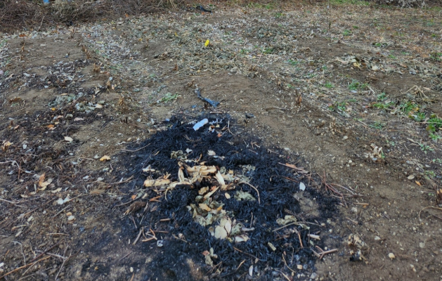 불법 소각 현장에 검은 재만 남아 있다.[네이버 블로그 갈무리]