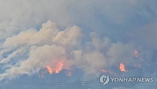 산청 산불 [독자 제공. 재판매 및 DB 금지]