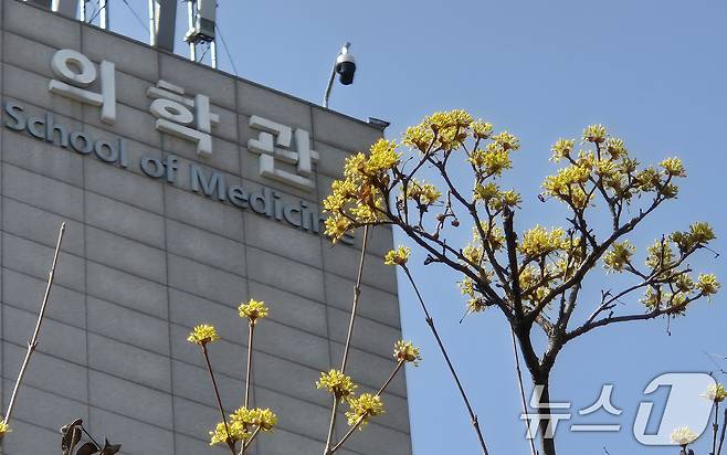 경기도 내의 한 의과대학 건물 앞에 산수유꽃이 피어있다. /뉴스1 ⓒ News1 김영운 기자