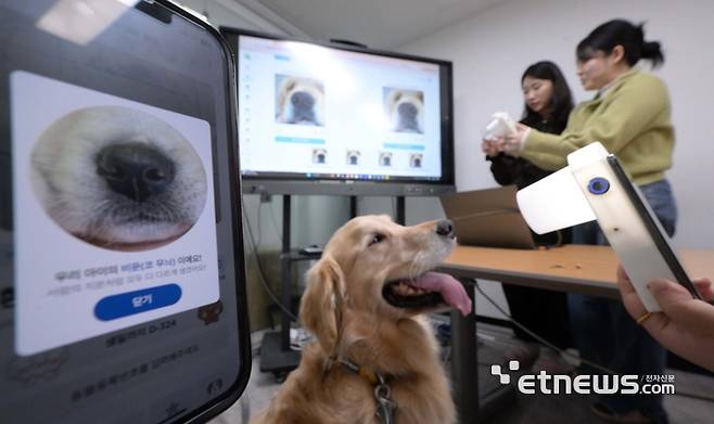 농림축산식품부가 동물 종합복지계획을 통해 반려동물 등록제 개선을 위한 생체인식 기술 도입을 검토하고 2027년부터 본격 도입을 추진한다고 밝혔다. 지난 17일 서울 관악구 아이싸이랩에서 관계자가 인공지능(AI) 탑재 반려견 비문 등록 솔루션 '애니퍼피'를 테스트하고 있다. 김민수기자 mskim@etnews.com