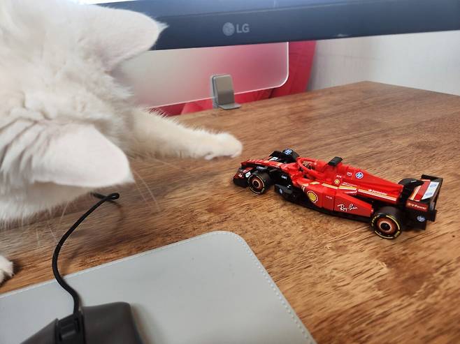 20250323_004520.jpg 하얀색과 빨간색의 만남