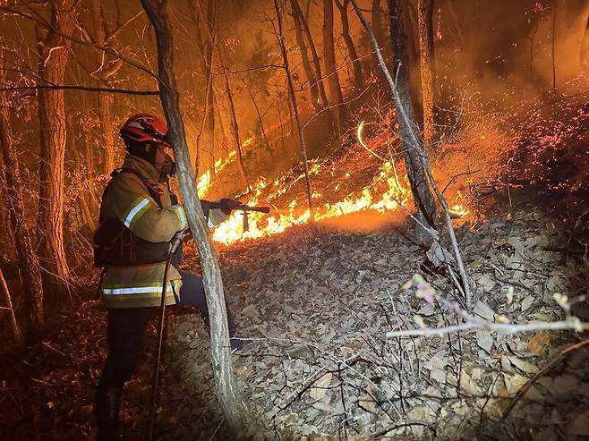 경북 의성군 산불 현장에서 소방대원이 불을 끄고 있다. 산림청 제공