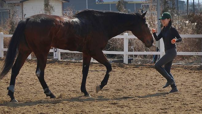 이찬주씨가 2025년 3월9일 경기 고양시 일산서구 구산동 일산승마 마음치유&트레이닝센터 마장에서 파인데이와 함께 놀고 있다.