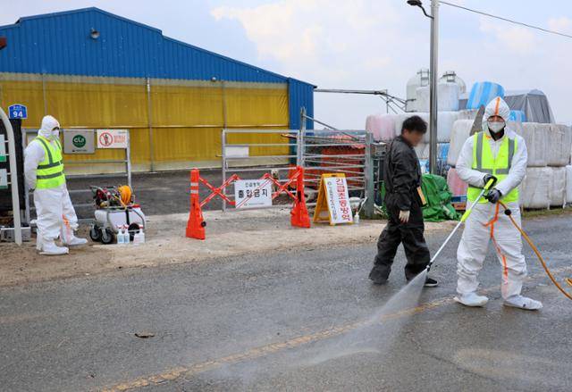 지난 18일 구제역이 발생한 전남 영암군 한 한우농장 앞에서 방역당국 관계자가 방역작업하고 있다. 연합뉴스