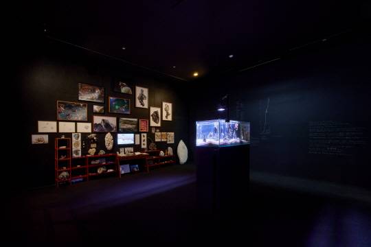 장한나, ‘신 생태계’, 2021·2025.