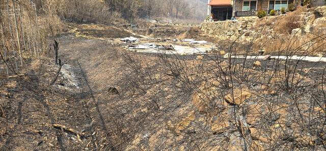 22일 경북 의성군 안평면 괴산리 야산에서 발생한 산불이 강한 바람을 타고 의성읍으로 번지면서 철파리 농경지와 주택이 일부 불에 탔다.
