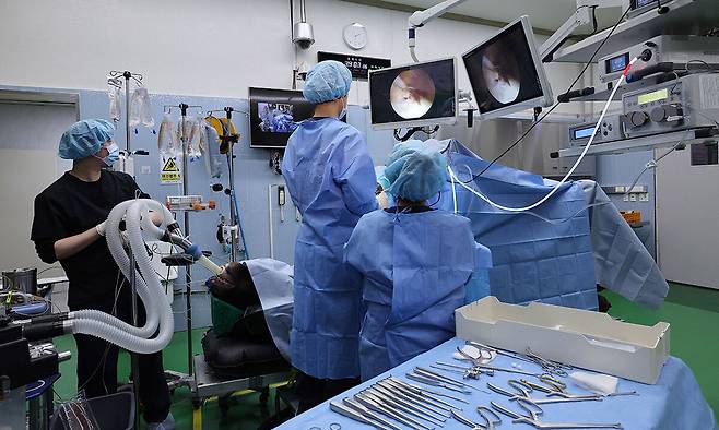 말 수의사들이 관절경수술을 진행하고 있다.