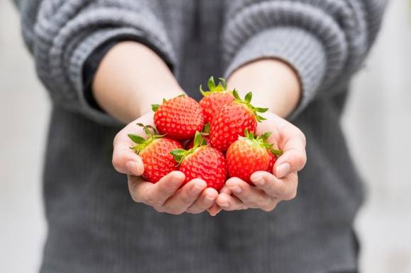 딸기 이미지. 아이클릭아트