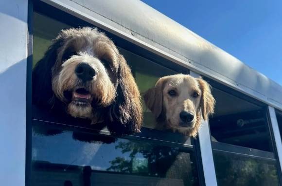 K9 콘보이 페이스북