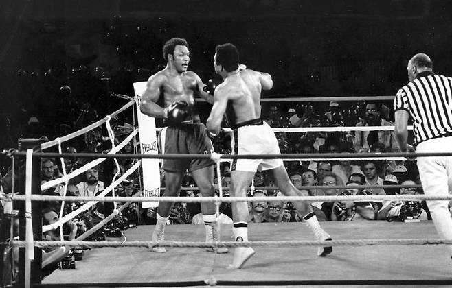 1974년 ‘정글의 대소동’으로 불리는 세계 헤비급 타이틀매치 조지 포먼(왼쪽)과 무하마드 알리의 경기. 포먼은 이 경기에서 알리에게 8라운드 KO패 당해 챔피언 벨트를 내줬다. AP 뉴시스