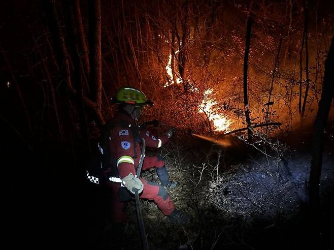 경남 산청 산불현장에서 산불진화대원이 야간 산불 진화활동을 벌이고 있다. 산림청 제공