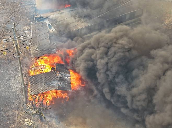 경북 의성군 대형 산불 발생 사흘째인 24일 산불 현장에 인접한 의성군 옥산면 입암리 한 마을 민가에 불씨가 옮겨붙으며 불이 나고 있다./연합뉴스