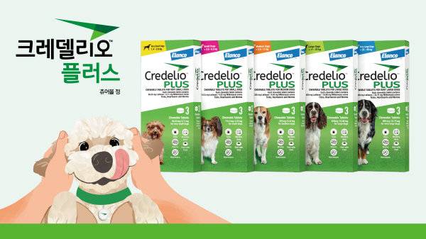 사진제공=한국엘랑코동물약품