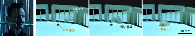 영화 ‘터미네이터 2’의 액체 로봇이 철창을 통과하는 장면(왼쪽)과 연구팀이 개발한 액체 로봇이 철창 구조를 통과해 외부 물질을 포획하는 모습. 서울대 제공.