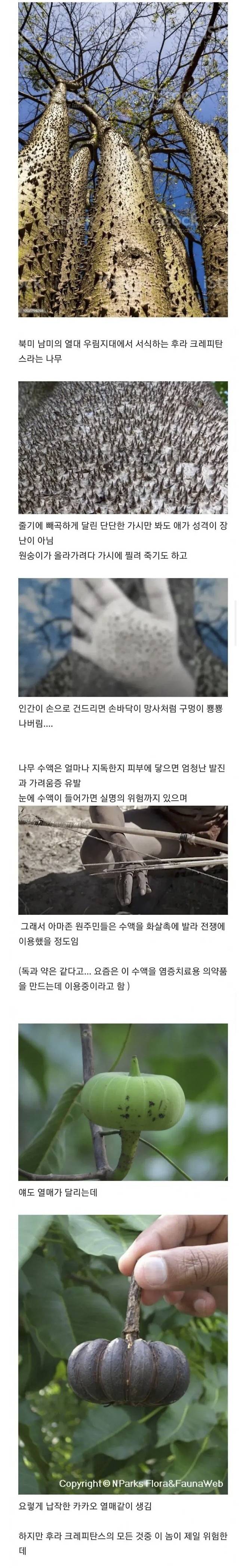 IMG_1193.jpeg 존재 자체가 “악의” 그 자체라는 나무 레전드 ㅎㄷㄷㄷㄷ