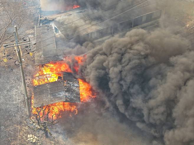 경북 의성군 대형 산불 발생 사흘째인 24일 산불 현장에 인접한 의성군 옥산면 입암리 한 마을 민가에 불씨가 옮겨붙으며 불이 나고 있다. 연합뉴스