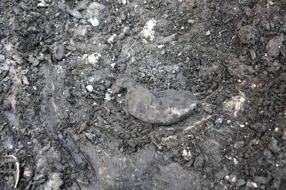 김해 봉황동 유적 출토 새모양 목기 출토 사진. 사진 국립가야문화유산연구소