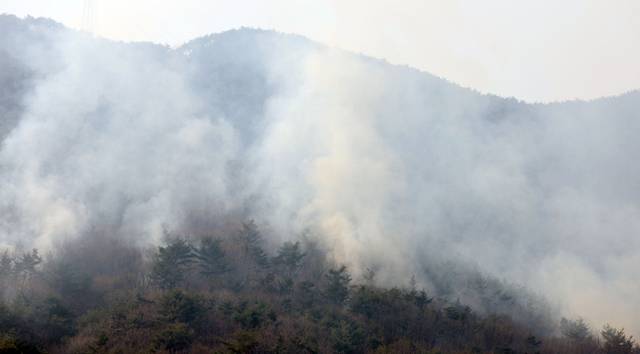 ▲ 경남 산청군 지역 산불 발생 나흘째인 24일 오전 산청군 단성면 일대 산불이 이어지고 있다. 연합뉴스