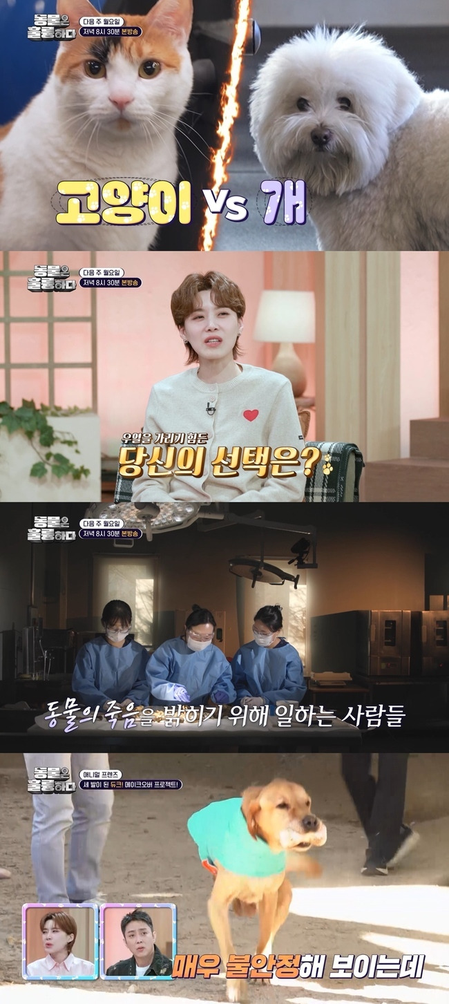 사진=KBS 제공