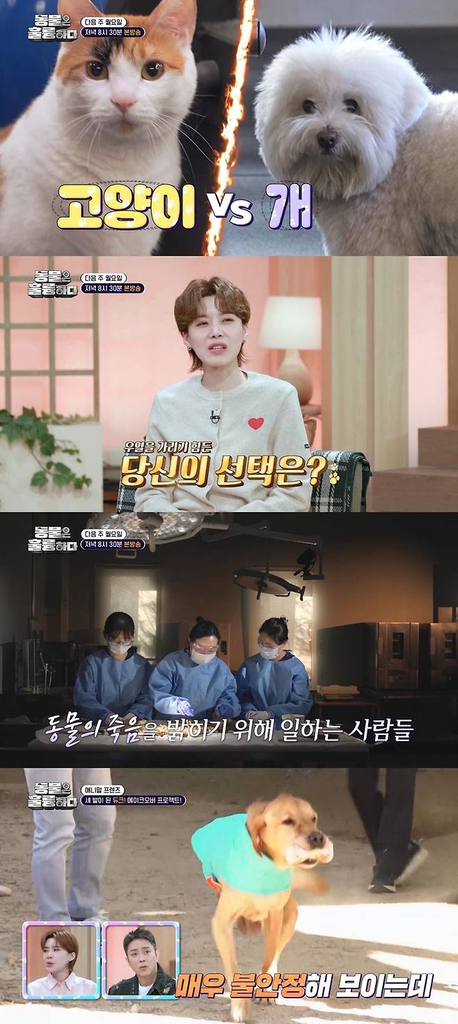 [서울=뉴시스] KBS 2TV '동물은 훌륭하다'가 24일 오후 8시 30분 방송된다. (사진=KBS 2TV '동물은 훌륭하다' 제공) 2025.03.24. photo@newsis.com *재판매 및 DB 금지
