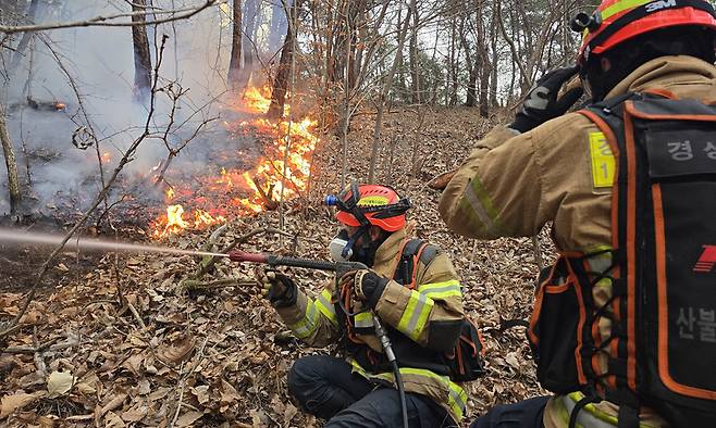 화마와 사투 벌이는 산불진화대원들. 경북도소방본부 제공